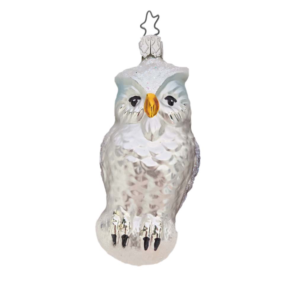 Glass Owl Christmas Ornament – Inges-Glas