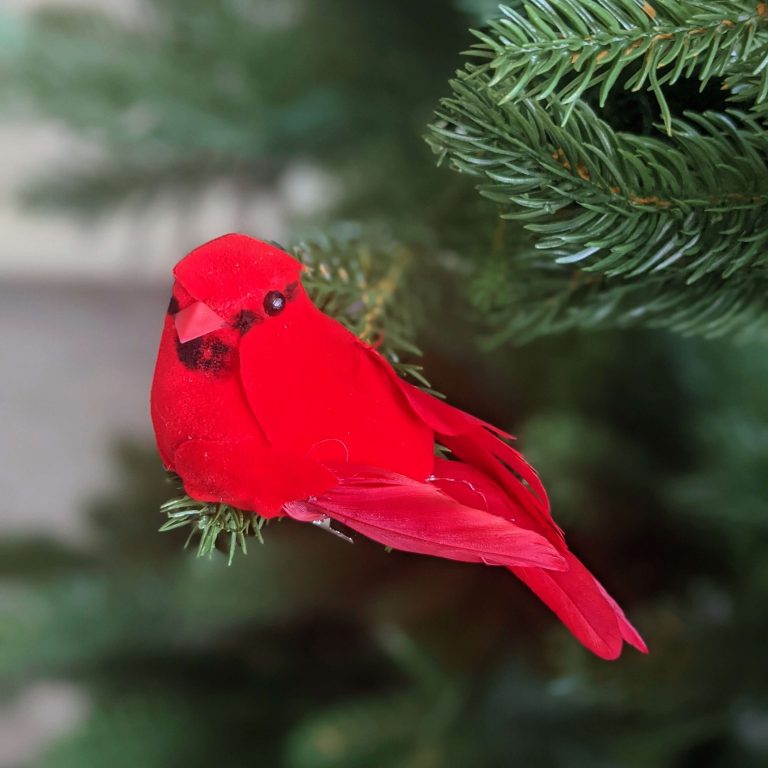 Red Cardinal Bird Mid Size Ornament