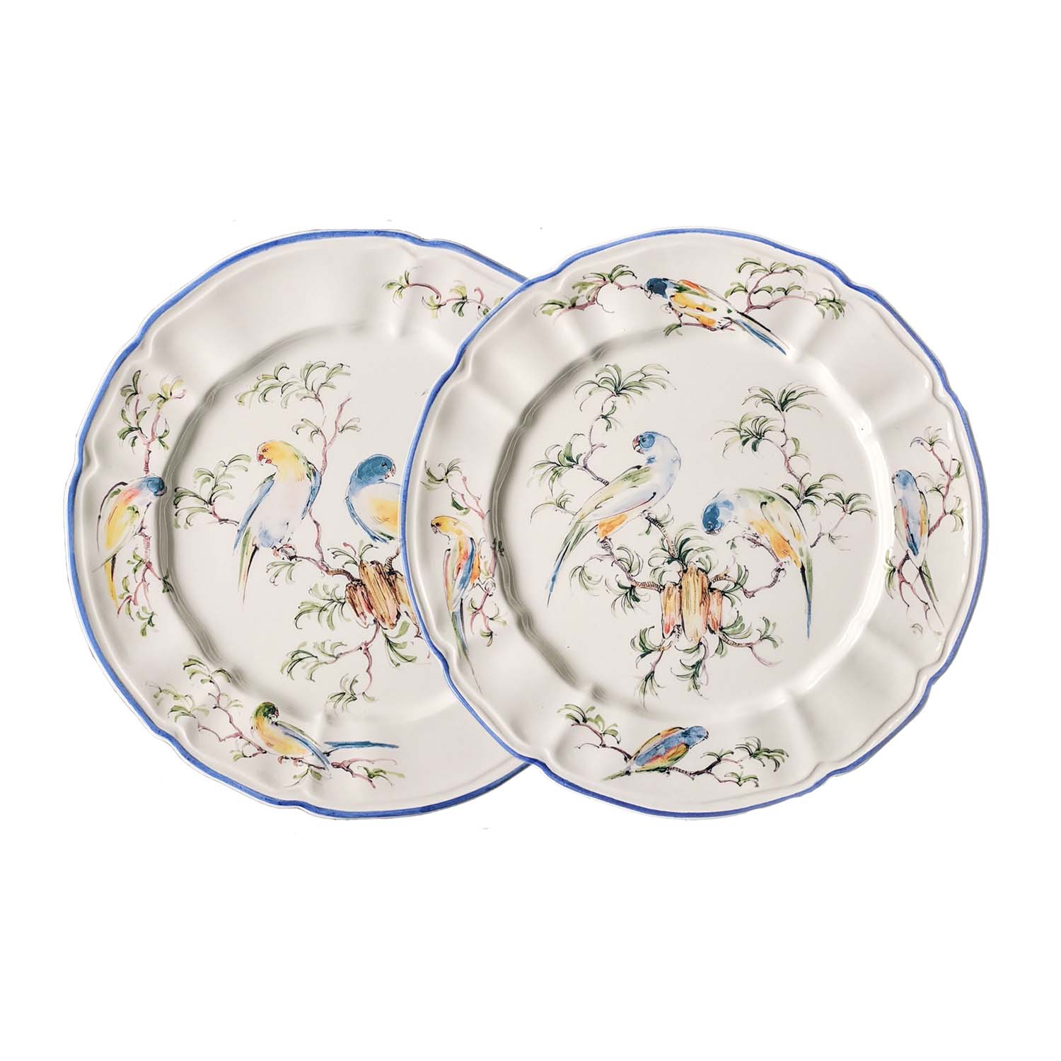 Plate Lp Blueparrots Set1