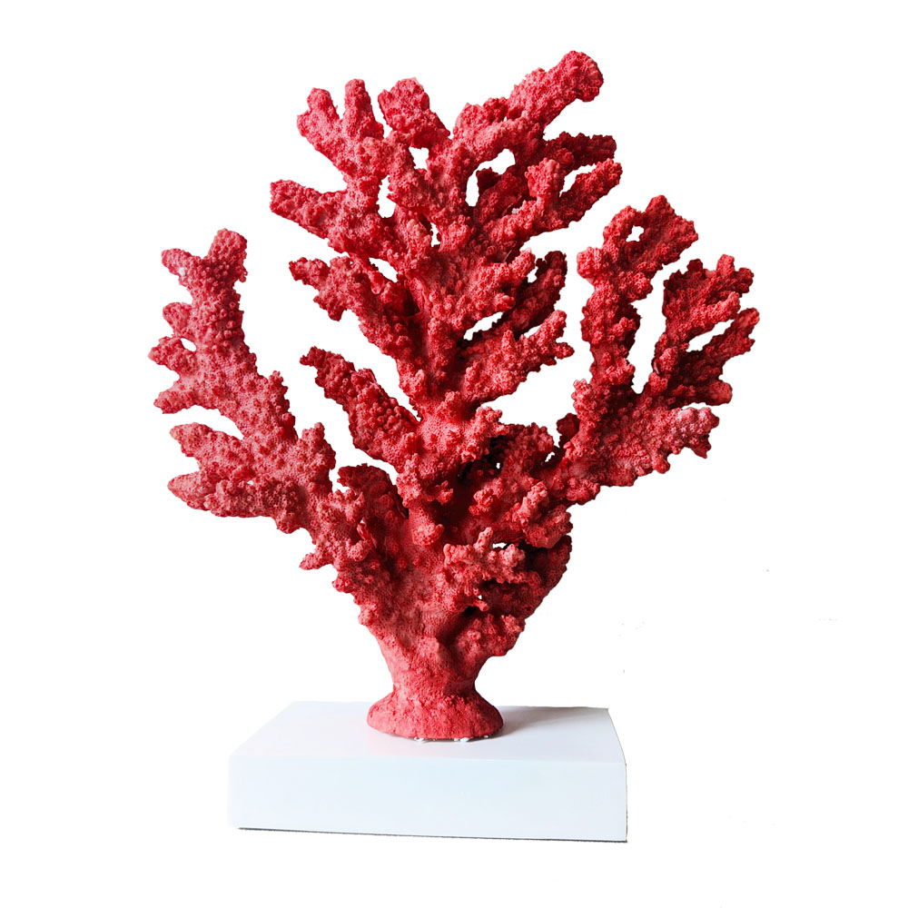 Decorative Red Coral – Style 2