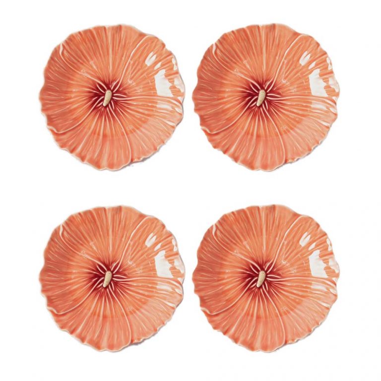Plate Bordhol Des