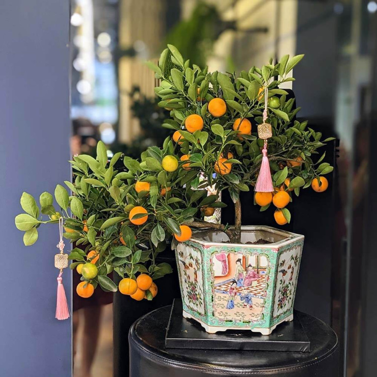 Handpainted Rose Medallion Ceramic Planter