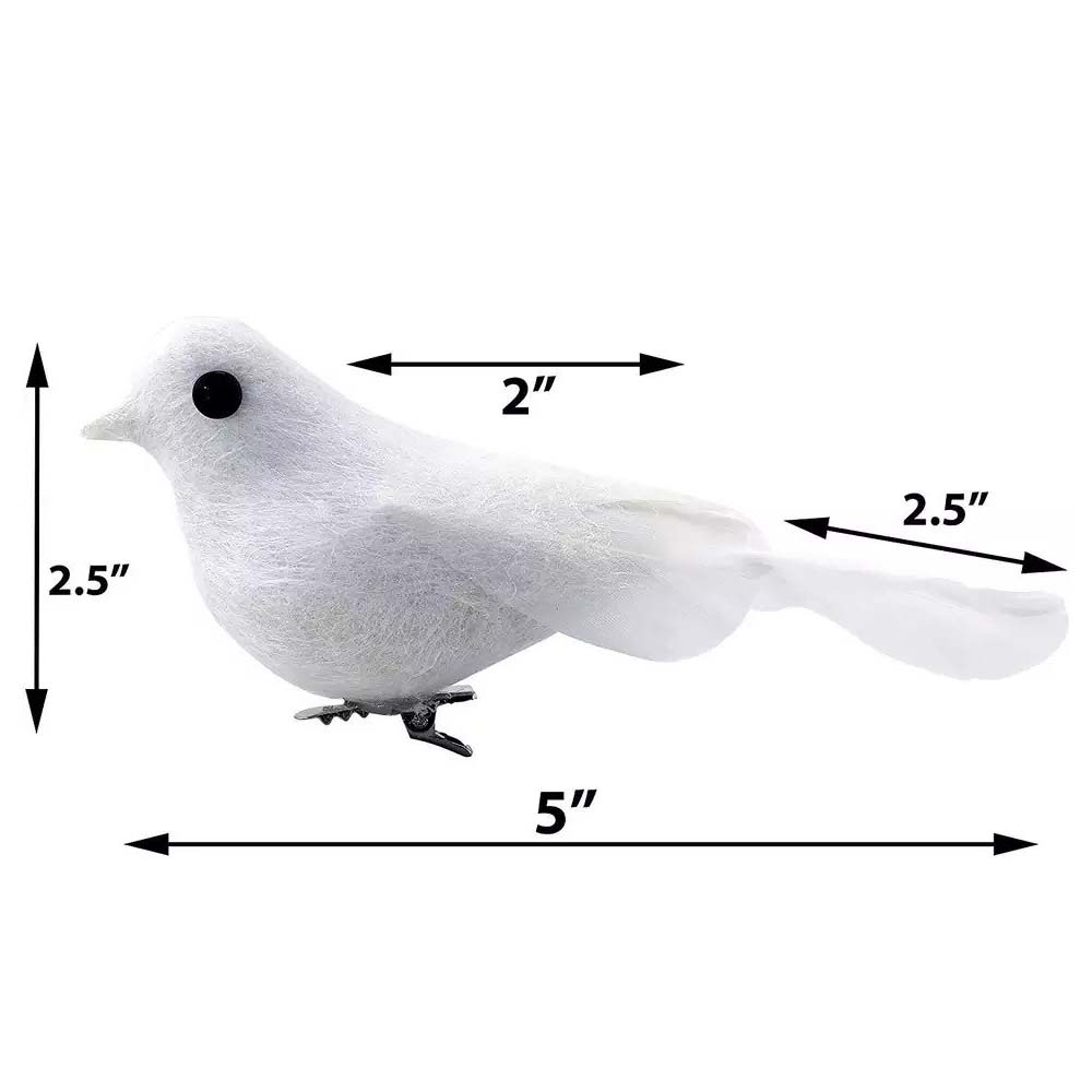 Bird White Pigeona