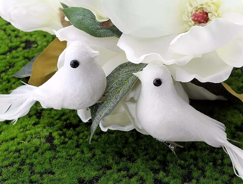 Bird White Pigeonc