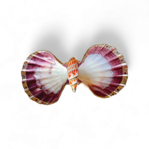 Dish Shell