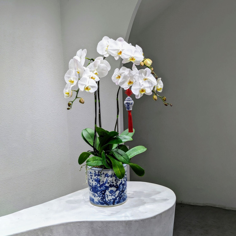 Blue White Ceramic Planter with Spring Elements