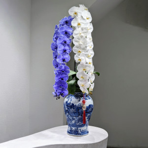 Tetflowers Ylan
