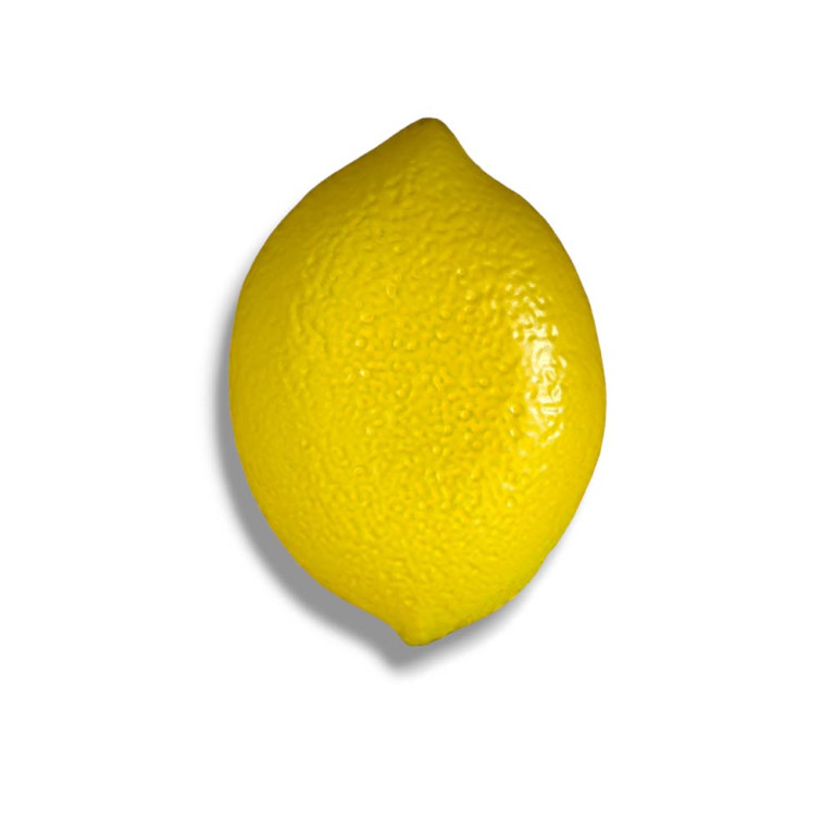 Plate Lemon Setof4a