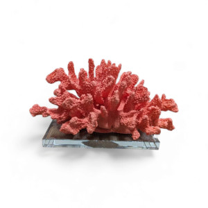 Orgcoral