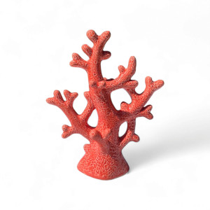 Orgcoral Ceramic
