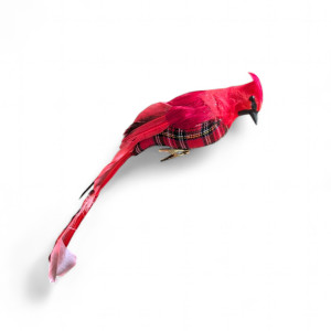 Cardinal Bird with Long Tail 35cm