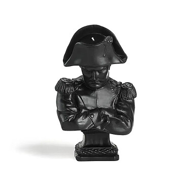 Busts Napoleon Trudon