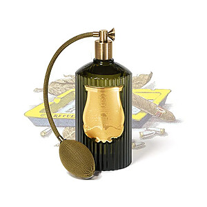 Ernesto Trudon Roomspray 375ml