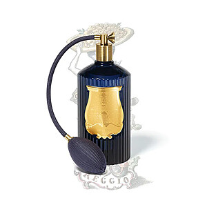 Reggio Trudon Roomspray 375ml