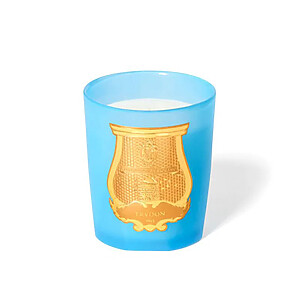 Versailles Trudon Candle 270g