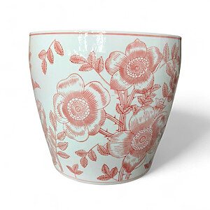 Plnter Redwhi Peony B