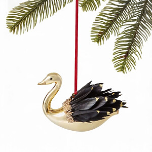 Orn Holidaylane Blkswan A
