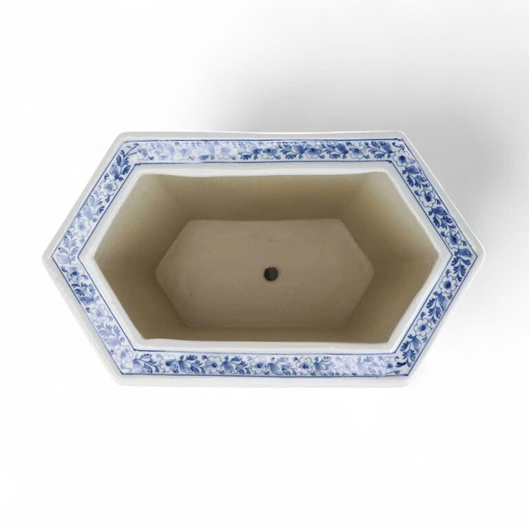 Plnter Bluwhi Hexpeaccka Plnter Bluwhi Hexpeaccka