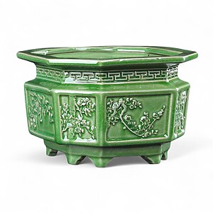 Plnter Jadegreen 20cm Plnter Jadegreen 20cm
