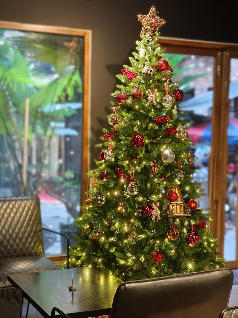Toan Canh Cay Thong Noel Ngoi Sao May Ben Cua So Cabin In The Woods Toan Canh Cay Thong Noel Ngoi Sao May Ben Cua So Cabin In The Woods